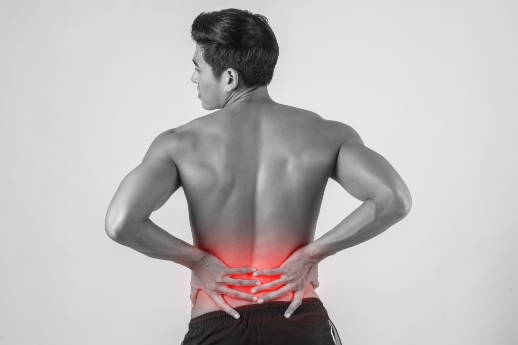 腰痛持ちはストレッチだけでは改善しない?本当に必要なのは筋トレです